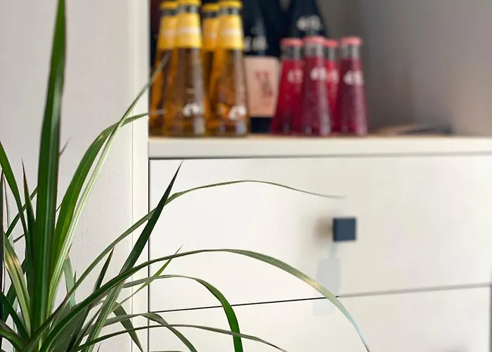 Aequor Mare * Faraí